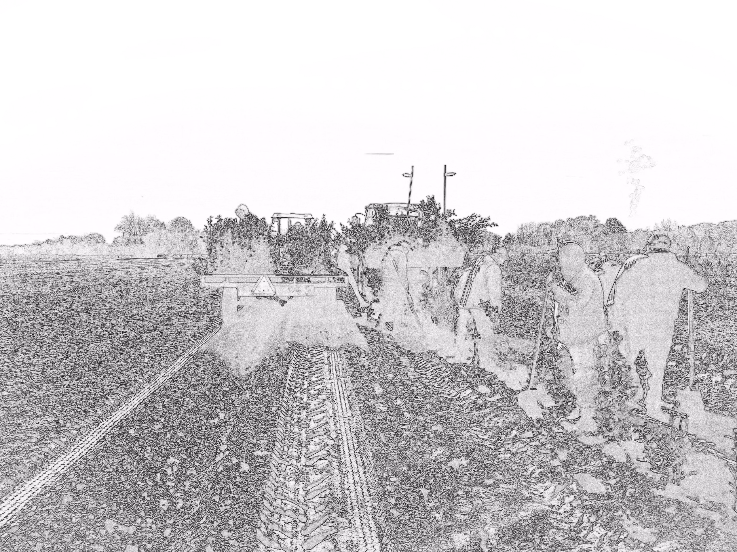 Reenders Blueberry Farms