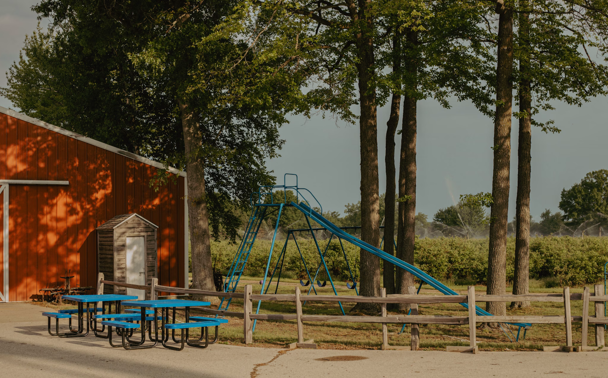 Love for Blueberries