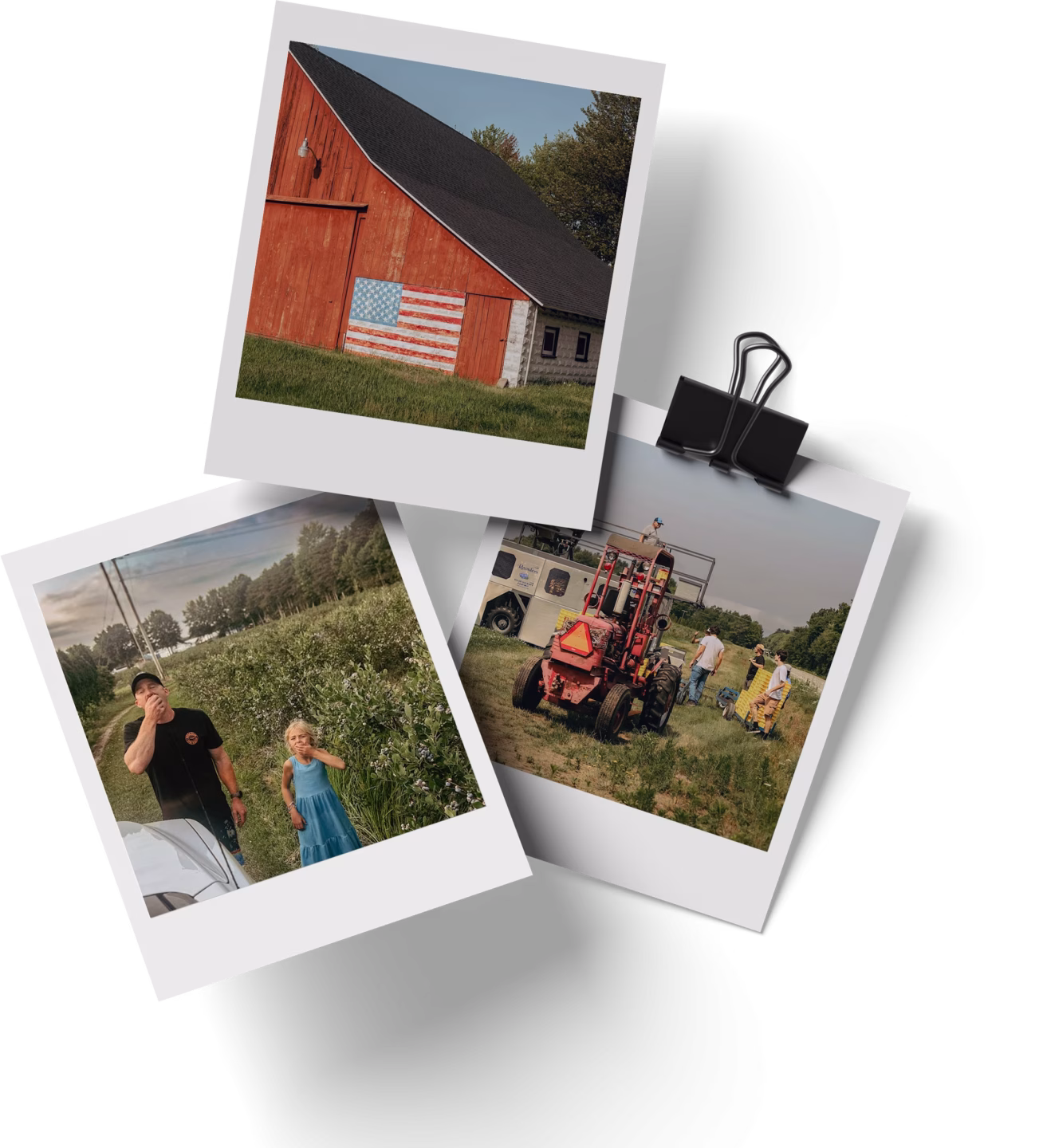 Reenders Blueberry Farms